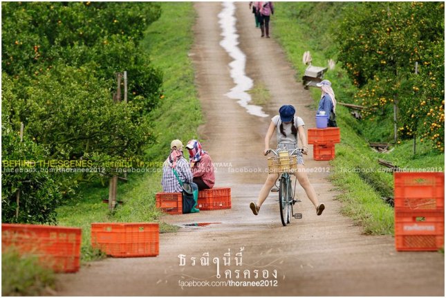 553137_444115248955053_788868798_n