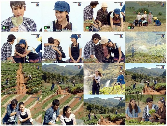 205257_453289498034681_741842877_n