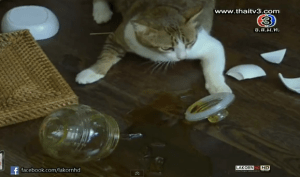 Screen Shot 2013-06-13 at 5.30.35 PM