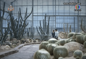 Screen Shot 2013-09-19 at 6.25.46 PM